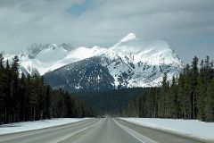 16 Mount White Tail and Mount Wardle From Highway 93 On Drive From Castle Junction To Radium In Winter.jpg